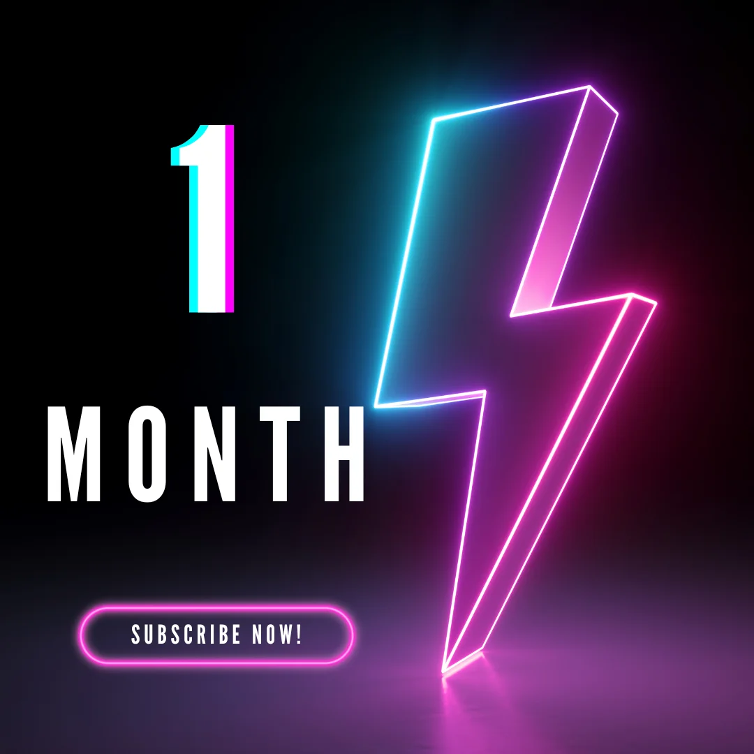 1 Month 2 Users
