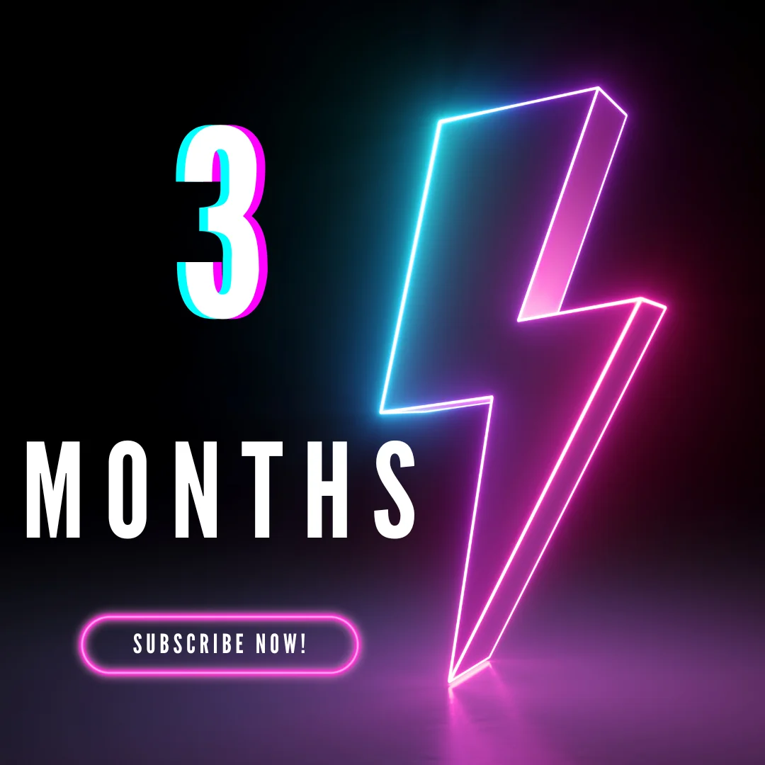 3 Months 5 Users