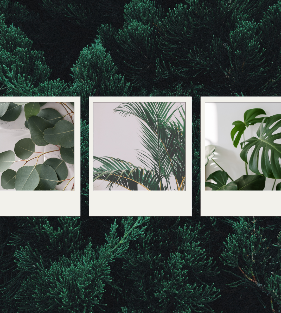Photo-Collage-Template